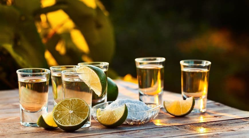 Types of Tequila: Production, Varieties, and Key Brands