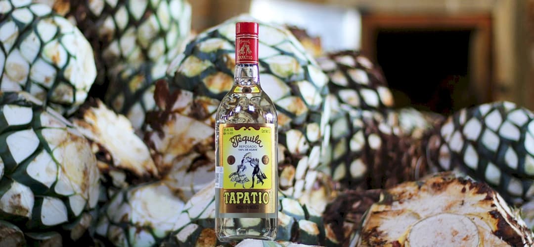 Tapatio — Cult-favorite artisanal tequila crafted in the Jalisco Highlands from estate-grown Blue Weber agave to showcase an authentic expression of Mexican terroir.