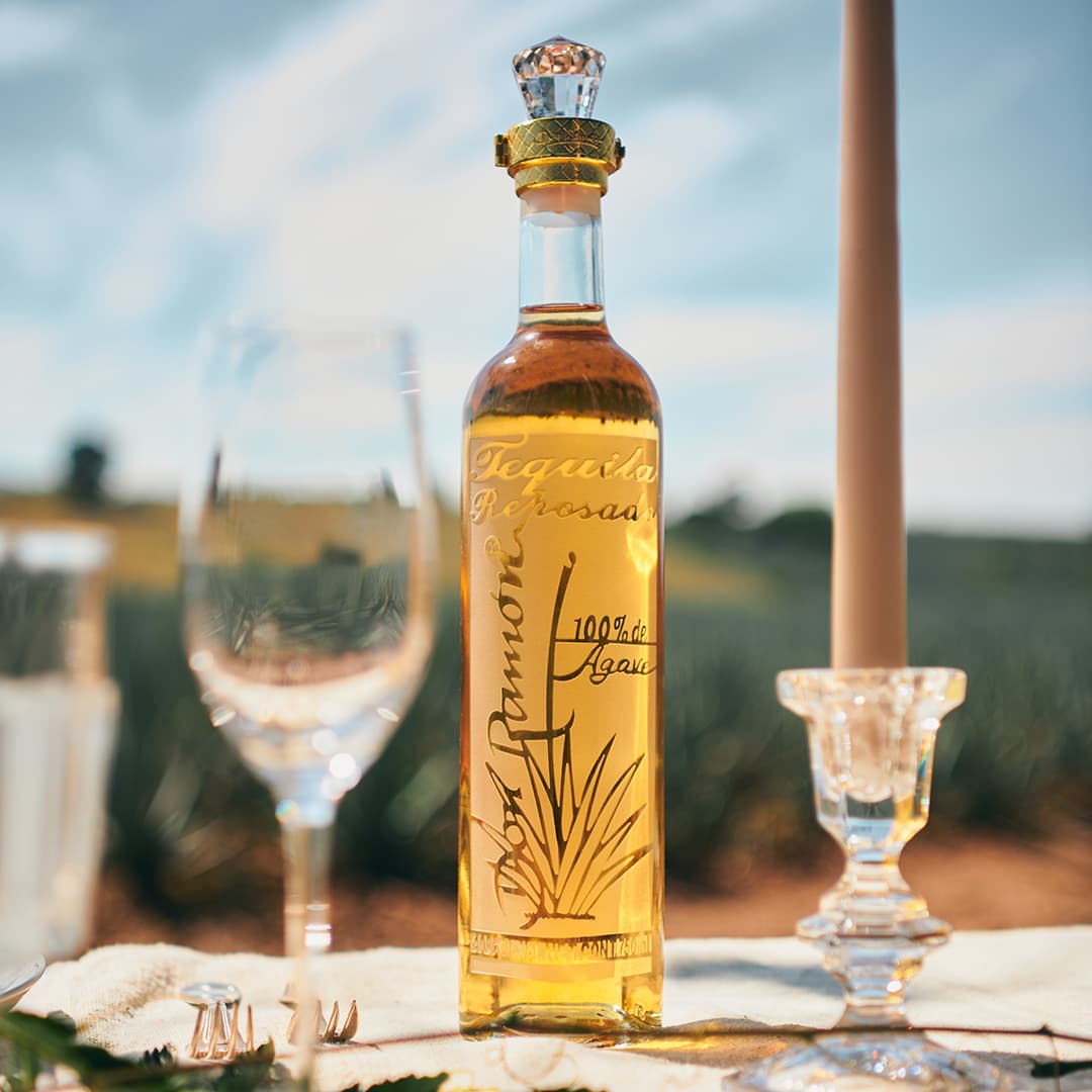 Casa Don Ramón — Premium Mexican tequila crafted in the Jalisco Highlands from carefully selected mature Blue Weber agave, blending artisanal expertise, innovation, and modern luxury to deliver a refined and authentic sipping experience.